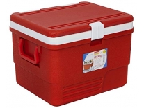 Aristo Plastic Insulated Icebox, 25 Liter, Red/Blue Rs.1189