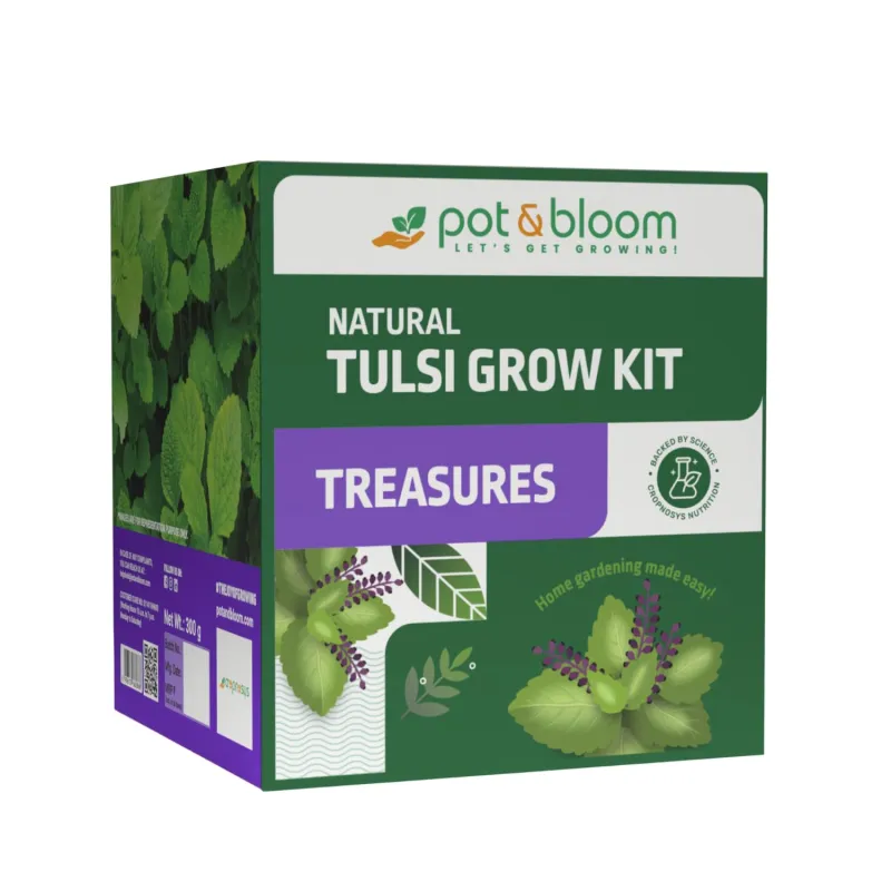Pot and Bloom Tulsi Grow Kit with Seeds, Pot & Gardening Essentials Rs. 240 Pot and Bloom Tulsi Grow Kit with Seeds, Pot & Gardening Essentials Rs. 240