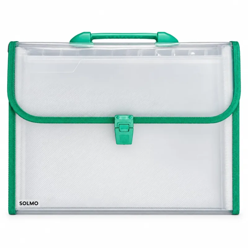 Amazon Brand – Solimo Transparent Expanding File Folder with 13 Pockets, Handle, and Buckle Closure, for A4 Size Documents (Green) Rs. 261