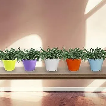 TrustBasket Jasmine Flower Pot (Set of 5 Rs. 151
