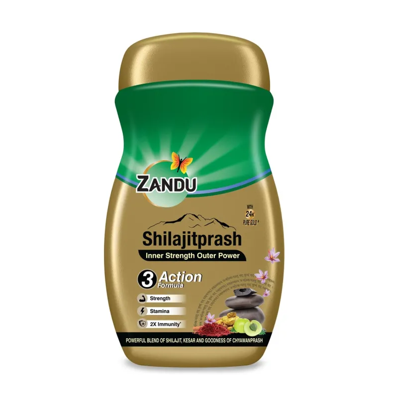Zandu Shilajitprash | Dual Goodness of Chyawanprash & 2X Shilajit/Shilajeet | Strength, Stamina & 2X immunity* | 450g I 24K Gold Bhasma & 47 Potent Rs. 189