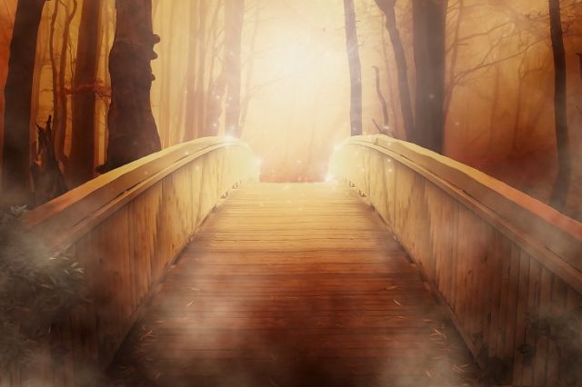 The Bridge (Story)