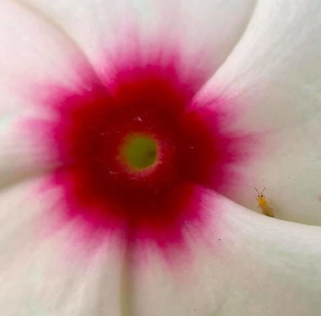 15 Most Hilarious Wildlife Photos Ever Taken