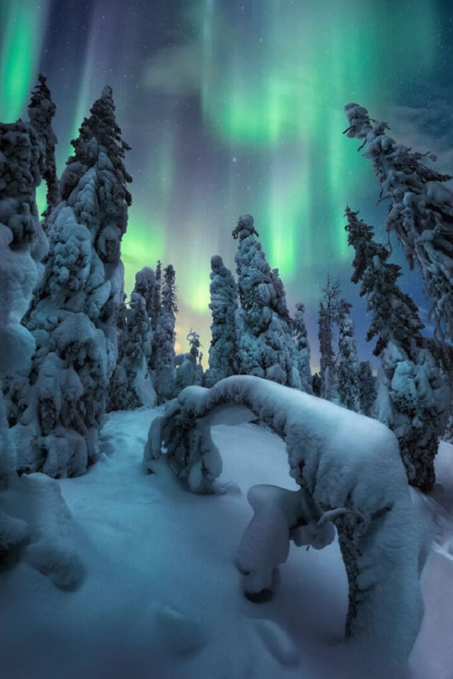 Top 15 Mind Blowing Northern Lights Pictures Of 2022