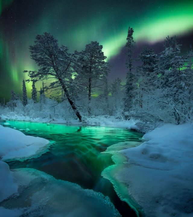 Top 15 Mind Blowing Northern Lights Pictures Of 2022