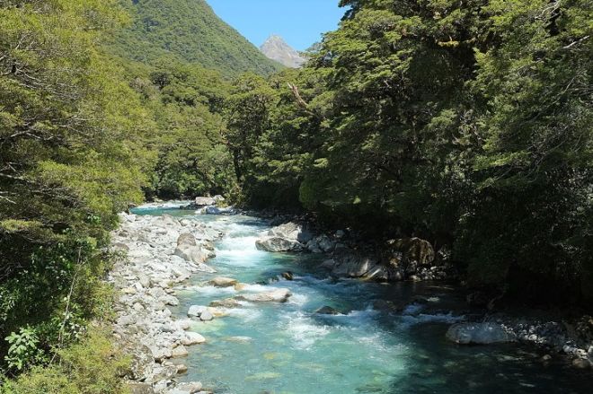 Milford Sound Is The Most Beautiful Destination In New Zealand