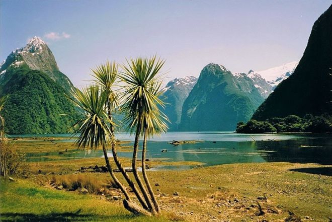 Milford Sound Is The Most Beautiful Destination In New Zealand