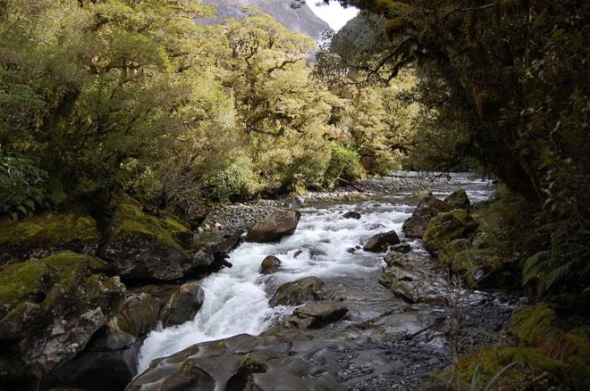 Milford Sound Is The Most Beautiful Destination In New Zealand