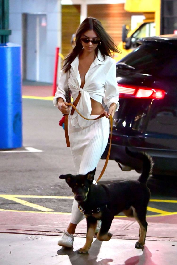 Emily Ratajkowski Cleaning Dog Poop In New York